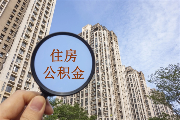 东阳怎么取住房住房公积金（取住房公积金方法）